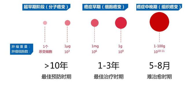除了健康生活+听天由命要预防癌症还能做点啥?(图4)