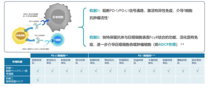 “癌肺同治”策略为共病患者诊疗规范化带来新思路(图10)