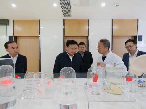 华夏源细胞集团推进江西项目二期进展！九江共青城市委书记莅临华夏源考察交流(图2)