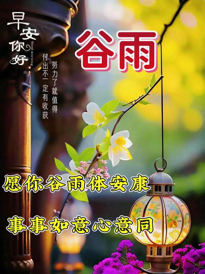 2024年4月19日谷雨节气早安温馨的早安祝福图片暖心的问候祝福语大全。谷雨安康！(图9)