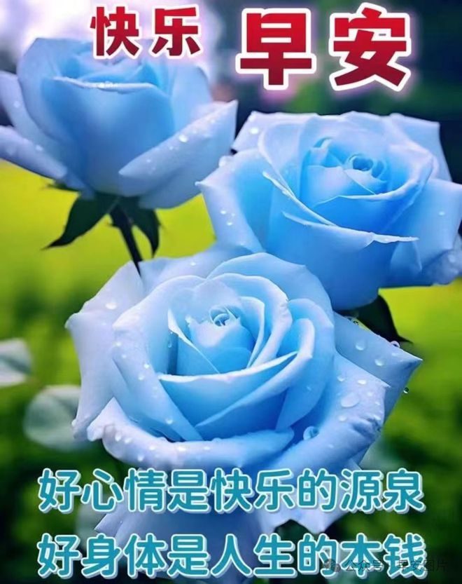 2024年4月19日谷雨节气早安温馨的早安祝福图片暖心的问候祝福语大全。谷雨安康！(图12)