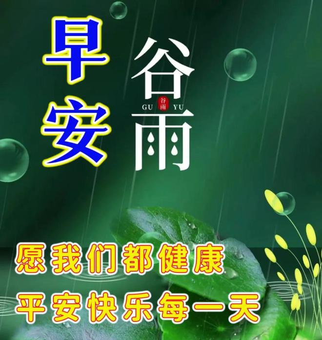 2024年4月19日谷雨节气早安温馨的早安祝福图片暖心的问候祝福语大全。谷雨安康！(图18)