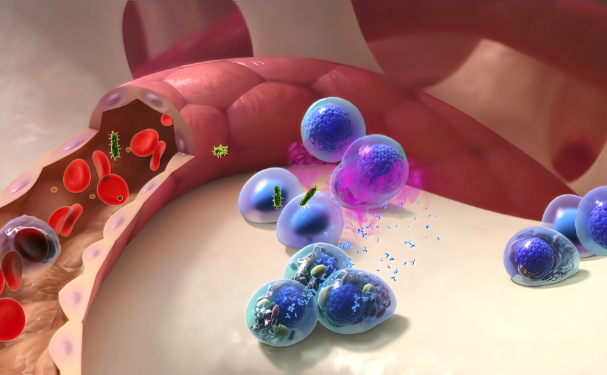 终身防癌险哪一个产品最好？确诊就赔的防癌险2024年最好的！(图1)