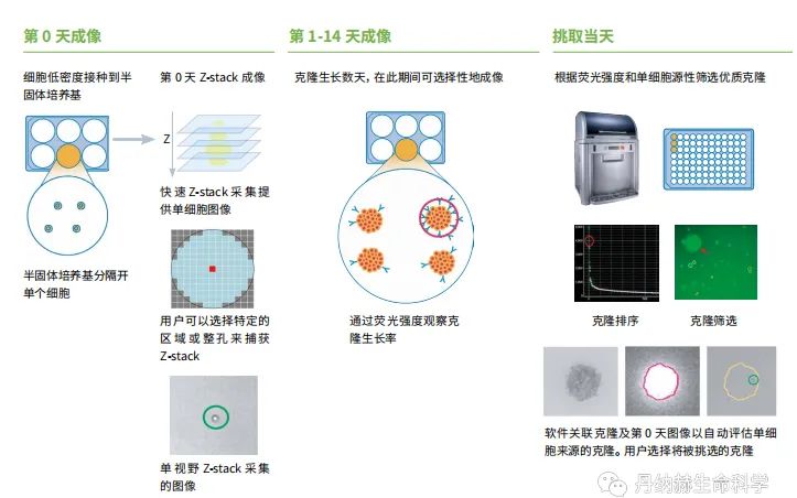 广州百暨基因科技有限公司(图1)