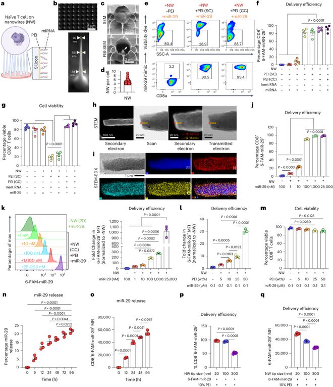 纳米线登上NatureNanotechnology！(图3)