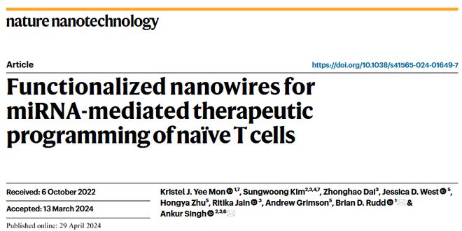 纳米线登上NatureNanotechnology！(图2)