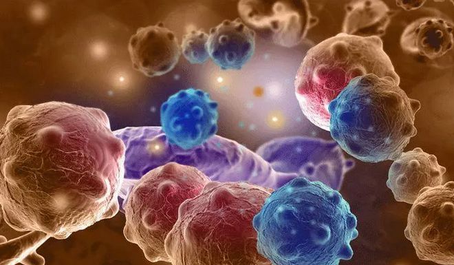纳米线登上NatureNanotechnology！(图1)