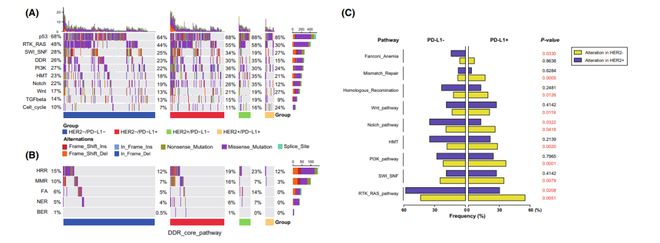 中国胃癌的基因组和免疫景观及其与HER2扩增和PD-L1表达的相关性(图7)