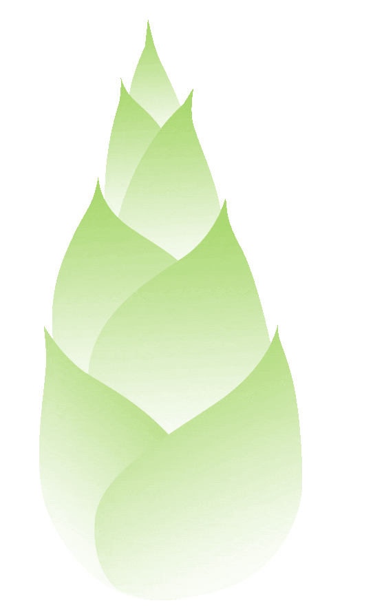 【2024肿瘤防治宣传周】多点“肠”识带您了解大肠癌(图1)