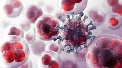 细胞治疗都被临床应用在哪些疾病上(图4)