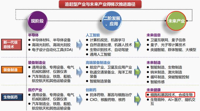 细胞治疗黑马肿瘤免疫受益公司比片仔癀稀缺外资罕见抢筹！(图1)