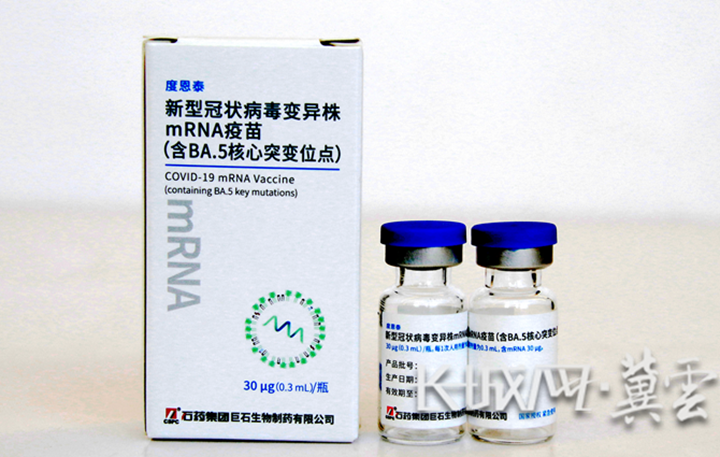 冀药当家①｜mRNA：激活免疫系统的信使奇兵(图7)