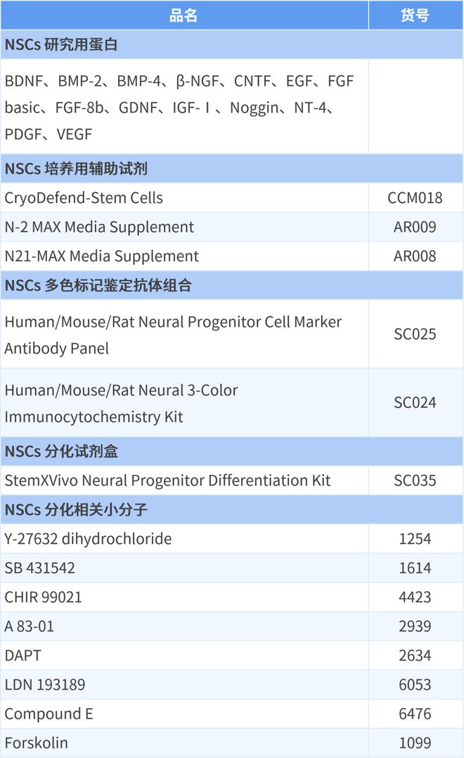 养了一年神经细胞却有五年经验全靠卷出来的？(图1)