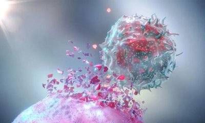 亚健康人群如何改善生活状态—自体免疫细胞回输(图2)