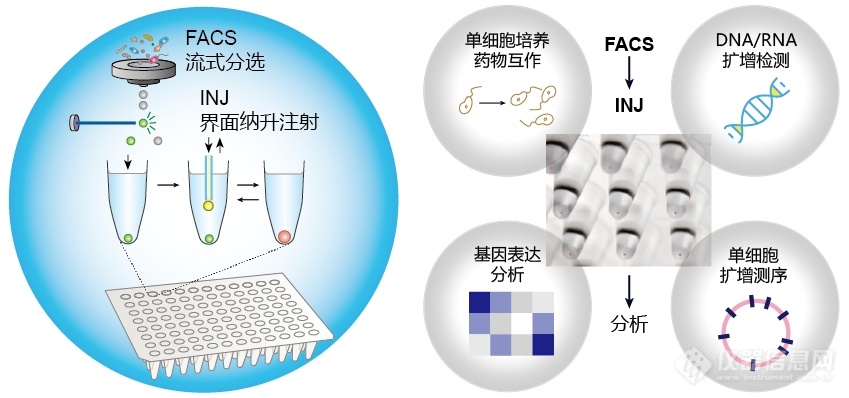 微生物所开发出新型微滴反应筛选技术及单细胞分析应用(图2)