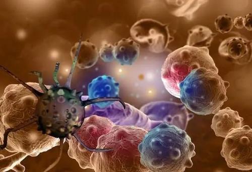 癌细胞偏爱的3种口味你中招了没？(图1)