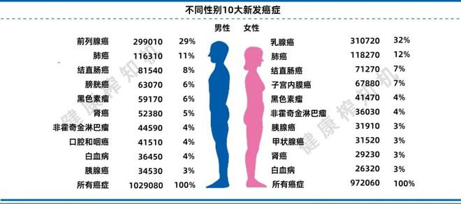 2024美国癌症报告：死亡率逐年下降避免410万人死亡！是因为做了这几件重要的事(图2)