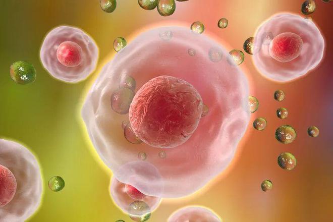 2024美国癌症报告：死亡率逐年下降避免410万人死亡！是因为做了这几件重要的事(图7)