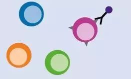 如何实现造血干细胞分离富集？看这里！(图7)
