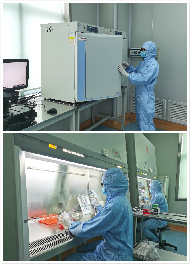 燕达研究院成功开展CD19CAR-T细胞治疗白血病临床研究(图1)