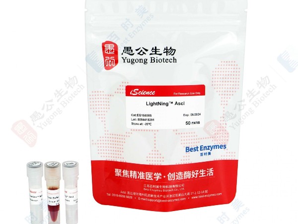 StemScale-PSC-悬浮培养基-干细胞培养(图4)