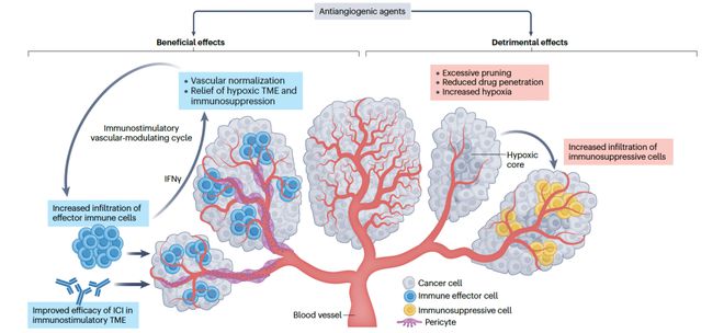 依沃西单抗「热议」下的「冷思考」！盘点那些PD-1+VEGFIII期临床试验带给我们的经验和教训(图2)