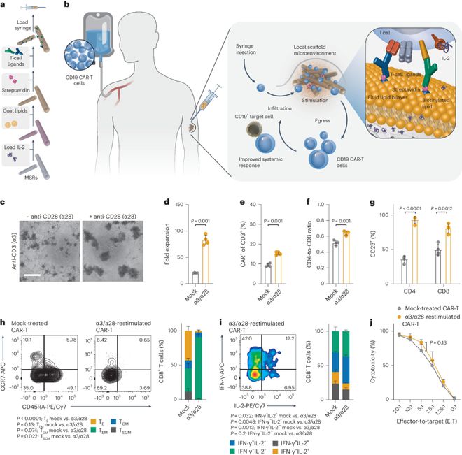 可降解生物支架最新NatureBiomedicalEngineering(图3)