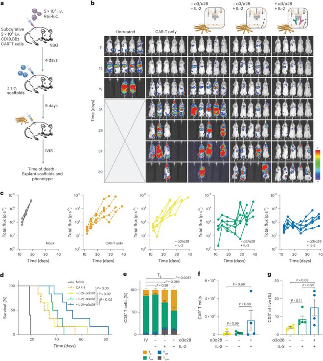 可降解生物支架最新NatureBiomedicalEngineering(图5)