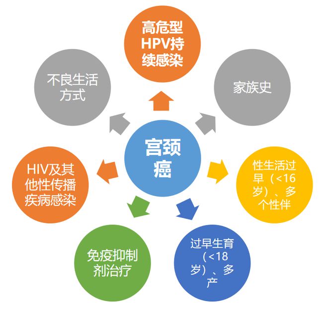 【科普】2024年成都市双流区免费“两癌”筛查又双叒叕来啦！(图3)