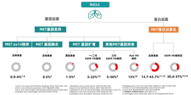 靶向突破：精准攻略非小细胞肺癌的MET迷局(图2)