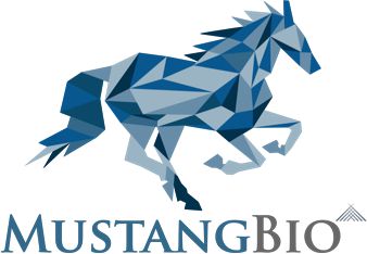 股价暴涨476%！Mustang公布一款CAR-T细胞疗法III期试验数据(图1)
