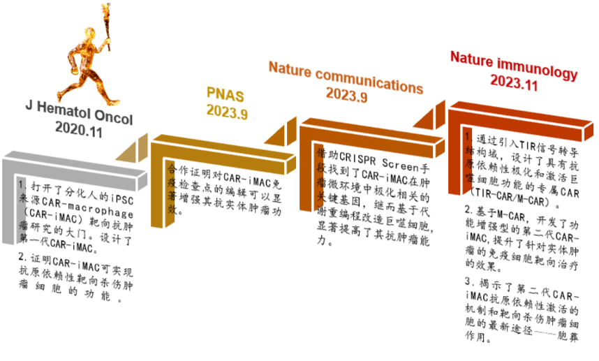 浙大开发第二代工程化CAR-巨噬细胞用于实体肿瘤免疫治疗(图3)