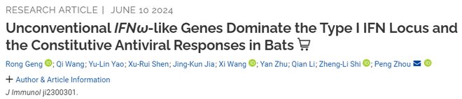 石正丽、周鹏团队最新研究：发现蝙蝠与高致病性病毒共存的秘密(图2)