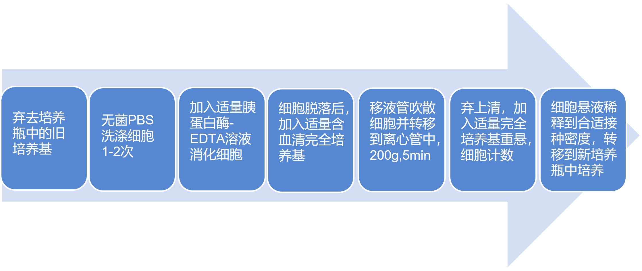 免疫细胞培养通关技巧之扩增培养(图3)