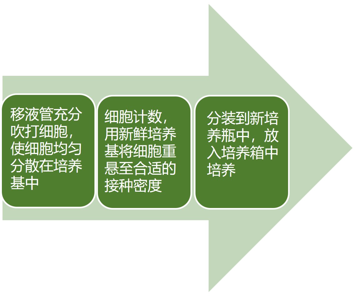 免疫细胞培养通关技巧之扩增培养(图4)
