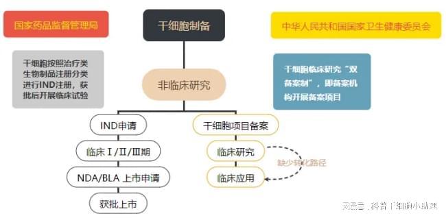 鞠躬道歉不能挽回已造成的健康威胁由小林制药事件看干细胞制备(图3)