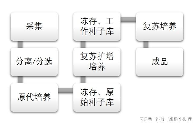 鞠躬道歉不能挽回已造成的健康威胁由小林制药事件看干细胞制备(图2)