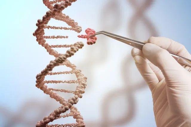 一针免去上百次治疗的基因疗法获EMA批准；使超70%患者肿瘤细胞完全消失的CAR-T疗法……CGT周报(图4)
