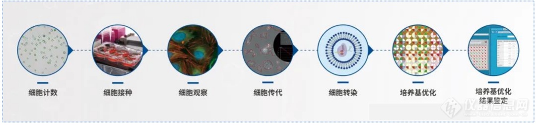 生物制药市场高速增长下批量细胞系构建实验室的自动化探索(图3)