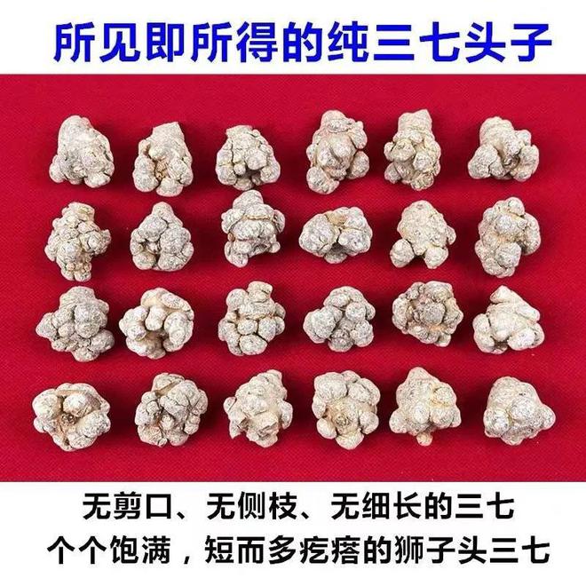 2024年7月3日读者社群信息(图5)