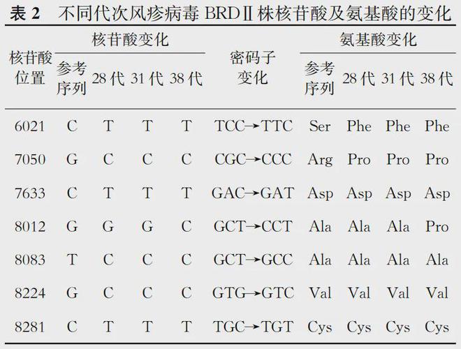 疫苗前沿风疹病毒BRDⅡ减毒株E1区连续传代稳定性研究(图5)