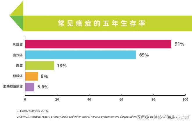 人体的免疫细胞如何与肿瘤细胞展开激烈对抗？(图6)