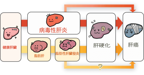 喜报！齐鲁细胞首款干细胞药物IND获批！(图3)