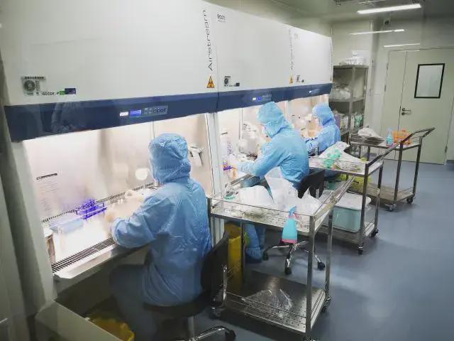 样本冻存成功率100%！优赛生命全国首推Tils免疫细胞存储服务(图2)