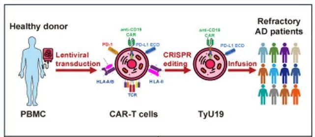 全球首个！逆转自身免疫疾病损伤通用型CAR-T疗法登《细胞(图4)