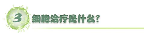 胸腺法新（日达仙）也能提高免疫力与细胞治疗有何不同？(图3)