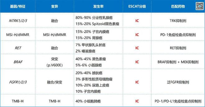 2024必看丨时隔四年NGS指南再次更新！晚期癌症患者需要做哪些基因检测？(图2)