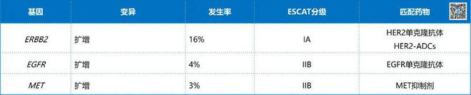 2024必看丨时隔四年NGS指南再次更新！晚期癌症患者需要做哪些基因检测？(图7)