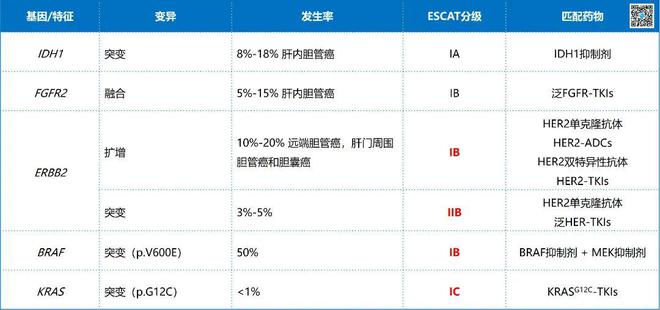 2024必看丨时隔四年NGS指南再次更新！晚期癌症患者需要做哪些基因检测？(图11)