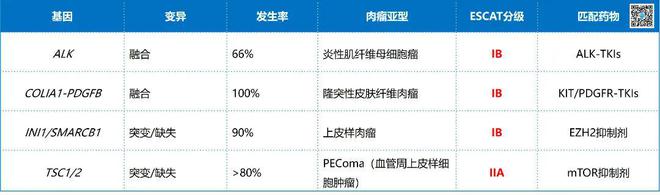 2024必看丨时隔四年NGS指南再次更新！晚期癌症患者需要做哪些基因检测？(图13)